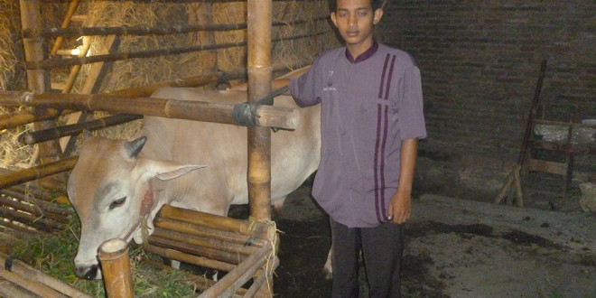 qurban-lillah